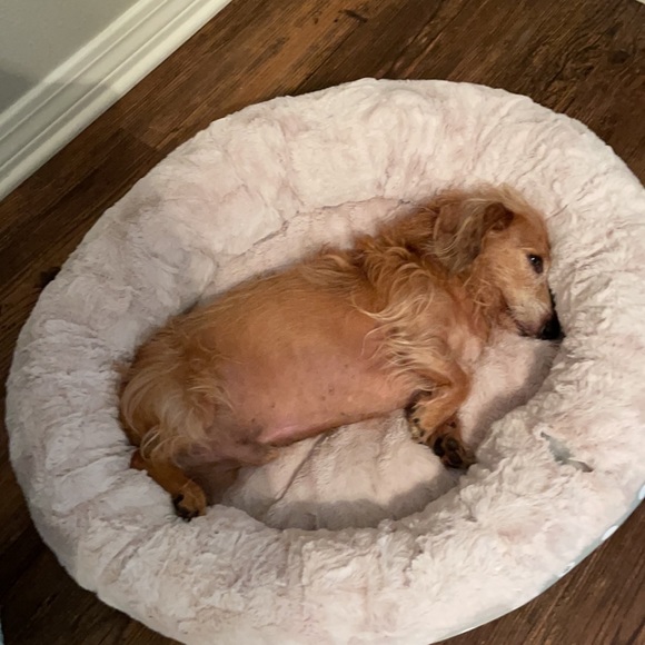 Meet the Posher, Deb - Picture 3 of 14